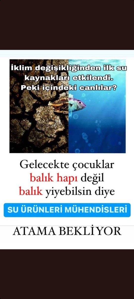 <a href="/vekilimizeylem/">Eylem Ertuğ Ertuğrul</a> 'Yolumuz açık, geleceğimiz aydınlık olsun' bizler de istiyoruz. Bakanlığımızdan gelecek alım haberi ile gelecek için tükenen umudumuz tekrardan yeşerecektir. Su Ürünleri Mühendisleri atama bekliyor <a href="/ibrahimyumakli/">İbrahim Yumaklı</a> <a href="/ademdinc_/">Adem Dinç</a> <a href="/bsgmtr/">Balıkçılık ve Su Ürünleri Genel Müdürlüğü</a> <a href="/TCTarim/">T.C. Tarım ve Orman Bakanlığı</a>