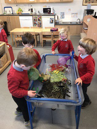 InverkipPrimary's tweet image. Spaghetti worms, can we catch them? Are they slimy? Lots of questions and giggles around the nursery  trough yesterday trying to catch a worm to put in the cauldron. 🪱 #usingourimagination
