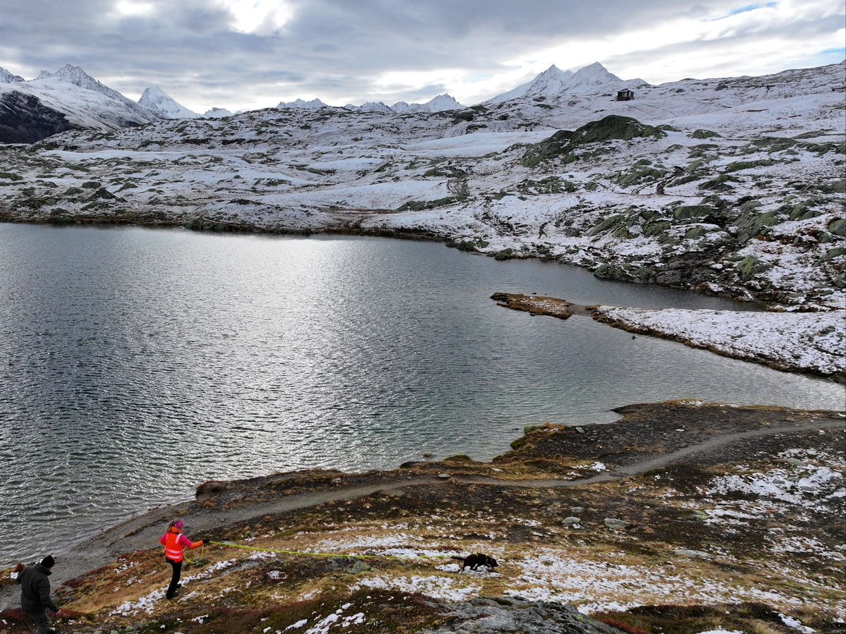 Tracking &amp; Trailing seminar 

We provided instructions for a professional tracking dog group. During the seminar, we focused on:
1. the level determination on different types of working environments.
2. simulating operational scenarios. 

Great organization by Kynowork.  

#sifd