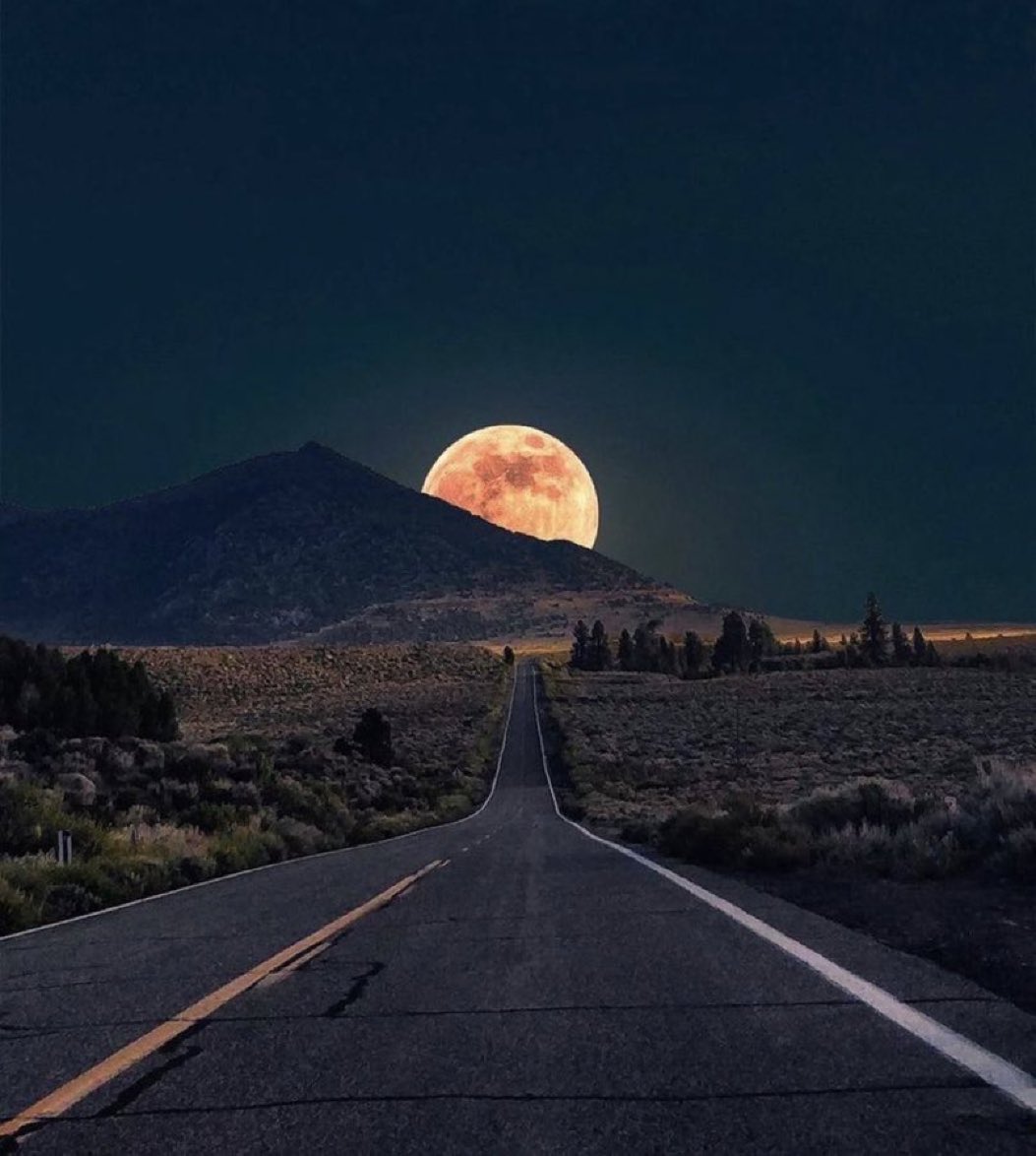 To the Moon.