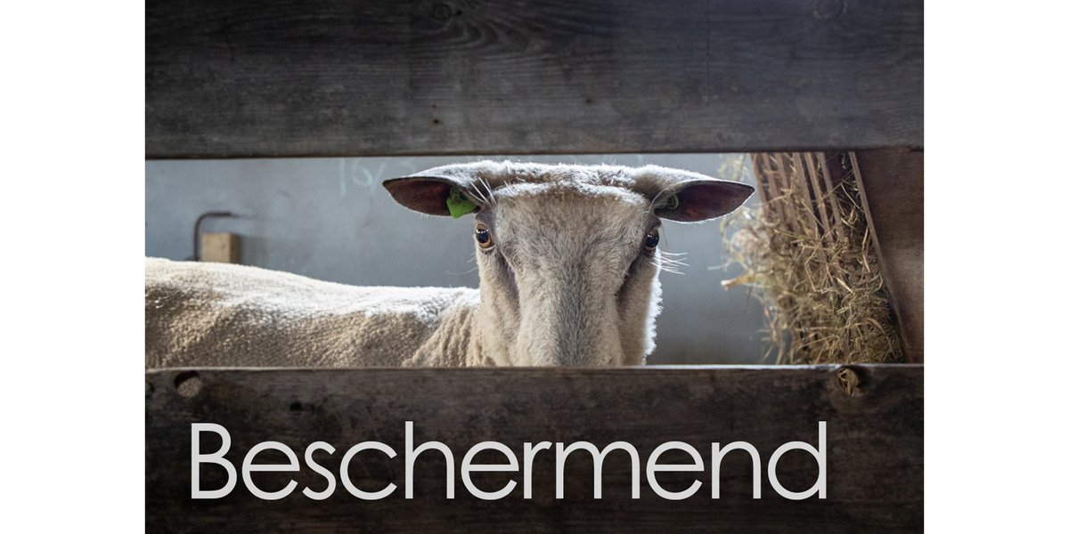 Loopbaanparadox's tweet photo. Een serie blogs met meditatieteksten… De gehele serie is te bestellen als set meditatiekaarten via het contactformulier of via de mail: info@leiderschapsparadox.nl 

Ik wens je een goede meditatietijd!
https://t.co/XFxTH3Sayk https://t.co/IjgEN7J5KS