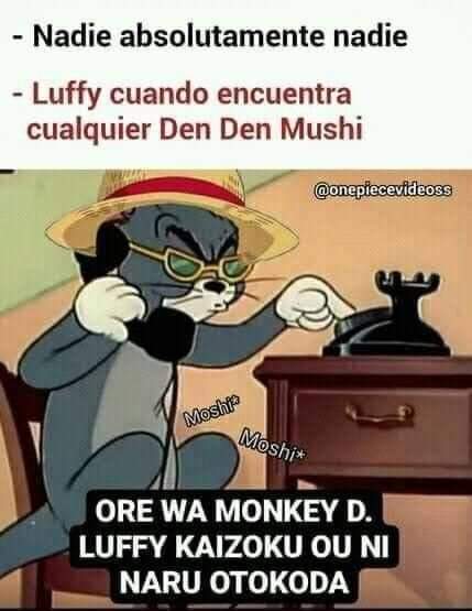 megam4x's tweet photo. Literalmente. #ONEPIECE https://t.co/s0lxqsbNMk