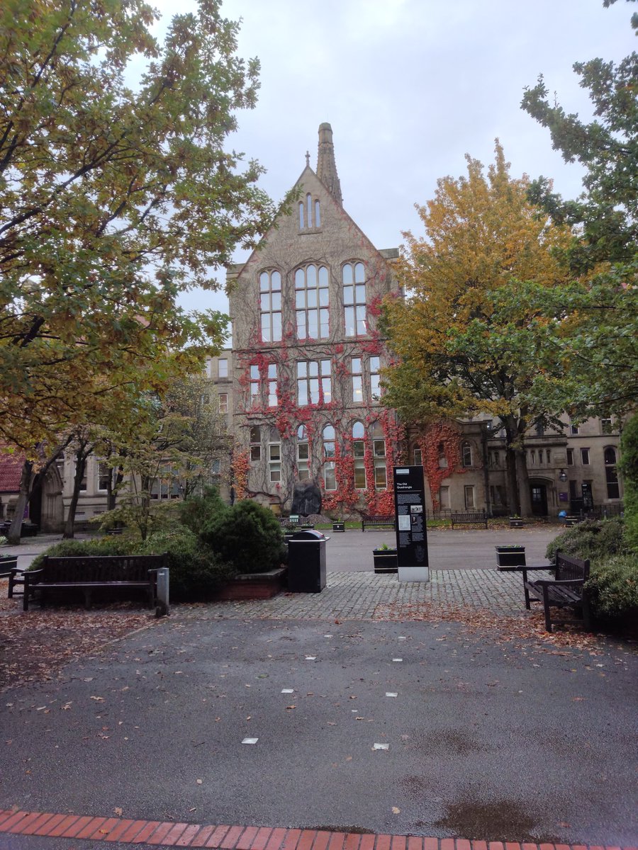 anagarsor's tweet photo. Absolutely delighted to have presented my reading of Bernardine Evaristo's Girl, Woman, Other at @TheENSFR conference in Manchester. First time being part of the organisation committee of an international conference and chairing a panel! https://t.co/4twpwuNWIM