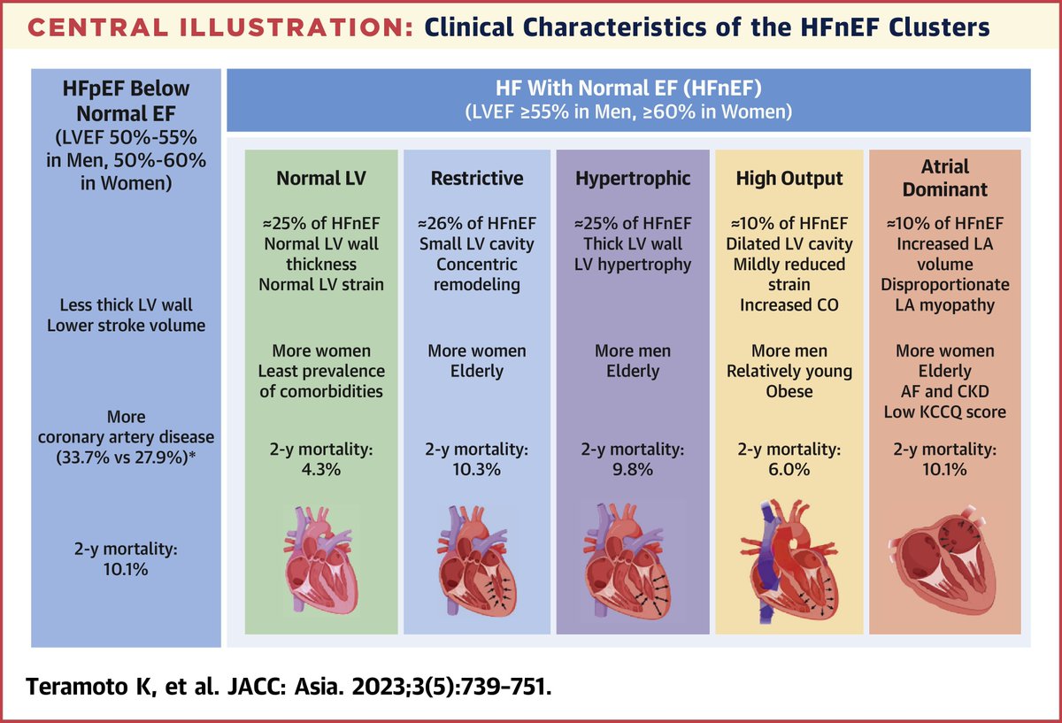 In Asian #HFpEF or normal EF pts, cluster analysis using #cvEcho found 5 major clusters: 1) Normal LV 2) Restrictive 3) Hypertrophic 4) High output 5) Atrial dominant - all w/ different patterns of cardiac features & clinical characteristics bit.ly/478D3Rl #JACCAsia