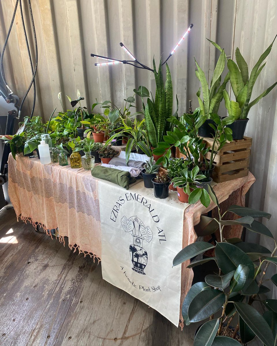 MET Atlanta (@met_atl) on Twitter photo Find <a href="/ezrasemeraldatl/">Ezraβs Emerald, the Kemetic Plant Shop β₯</a> at MET every Friday and bring some greenery into your life. π Find <a href="/ezrasemeraldatl/">Ezraβs Emerald, the Kemetic Plant Shop β₯</a> at MET every Friday and bring some greenery into your life. π