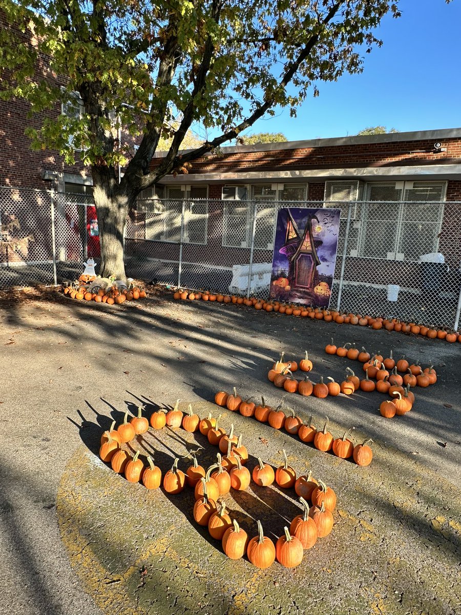 PS18_PTA's tweet photo. 🍁🍂 FALL is in the air 🎃 Pumpkin Patch 2023 🤎

Thank you to the entire school staff for making it a fun pumpkin picking morning for our children! 🍂🤎🎃

Thank you to our awesome parents for helping to get the pumpkins out and ready for the children. @PS18_Winchester https://t.co/tKIbLO91yt