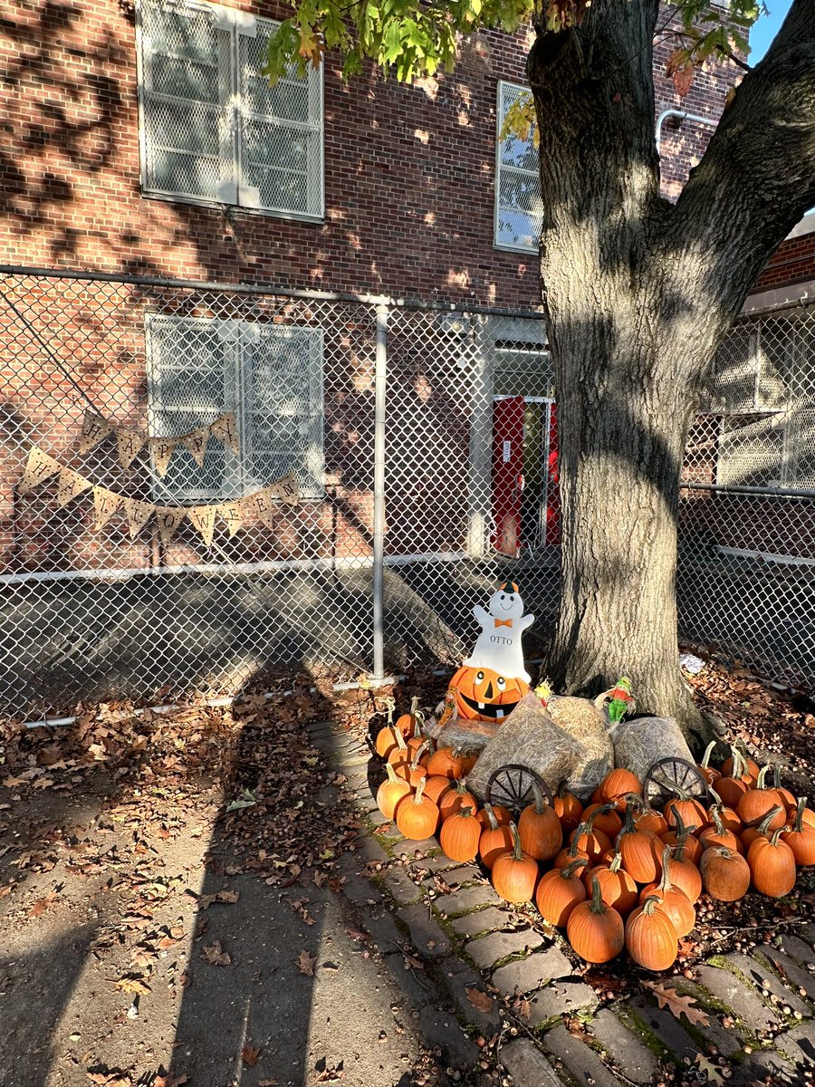 PS18_PTA's tweet photo. 🍁🍂 FALL is in the air 🎃 Pumpkin Patch 2023 🤎

Thank you to the entire school staff for making it a fun pumpkin picking morning for our children! 🍂🤎🎃

Thank you to our awesome parents for helping to get the pumpkins out and ready for the children. @PS18_Winchester https://t.co/tKIbLO91yt