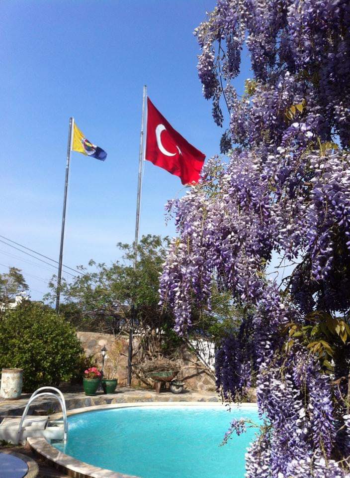 Tolga Alpaslan (@togialpi) on Twitter photo  Tolga Alpaslan (@togialpi) on Twitter photo