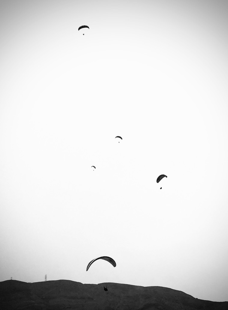 Hii #NFTfam 

✤ Passion for flying ✤ on @objktcom 
3/3 Ed
4 $xtz
↓
objkt.com/asset/KT1XtCkN…

#NFTCommmunity #nftphotography #photo #MiddleEast #Streetphotograph #flying #NFT_Shill #nftartworks #tezos #TezosArts #tezosCummunity #tezosnft #objktnft #BlackandWhite #NFT