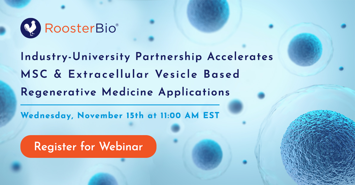 🗓️ Join us on Nov 15th for a webinar showcasing work from @PittVbl with lab PI, Dr @DavidVorp, who will provide an overview and set the stage for presentations by current PhD students working on 3 separate demonstrative projects. Learn more and register -> us02web.zoom.us/webinar/regist…