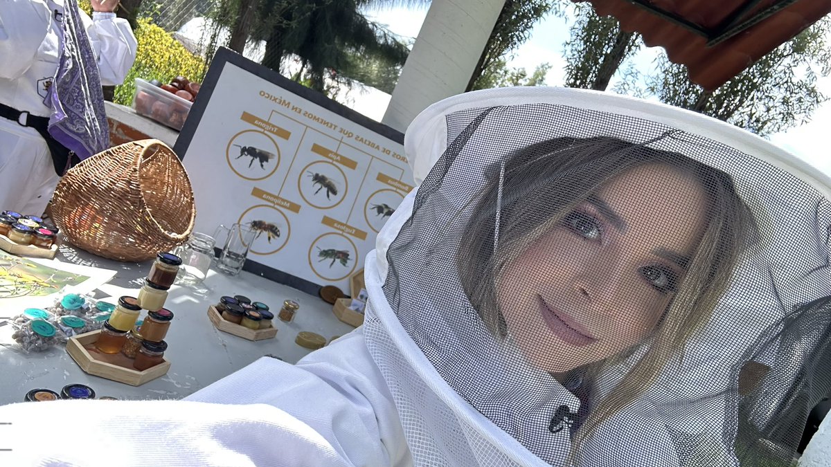 🐝Fuimos a conocer el apiario de Xochimilco <a href="/abejasdebarrio/">Abejas De Barrio</a> uno de los más importantes apiarios de México, no se lo pierdan mañana viernes a las 8:50 am por <a href="/adn40/">adnnoticiasmx</a> en #Biodiversidades
