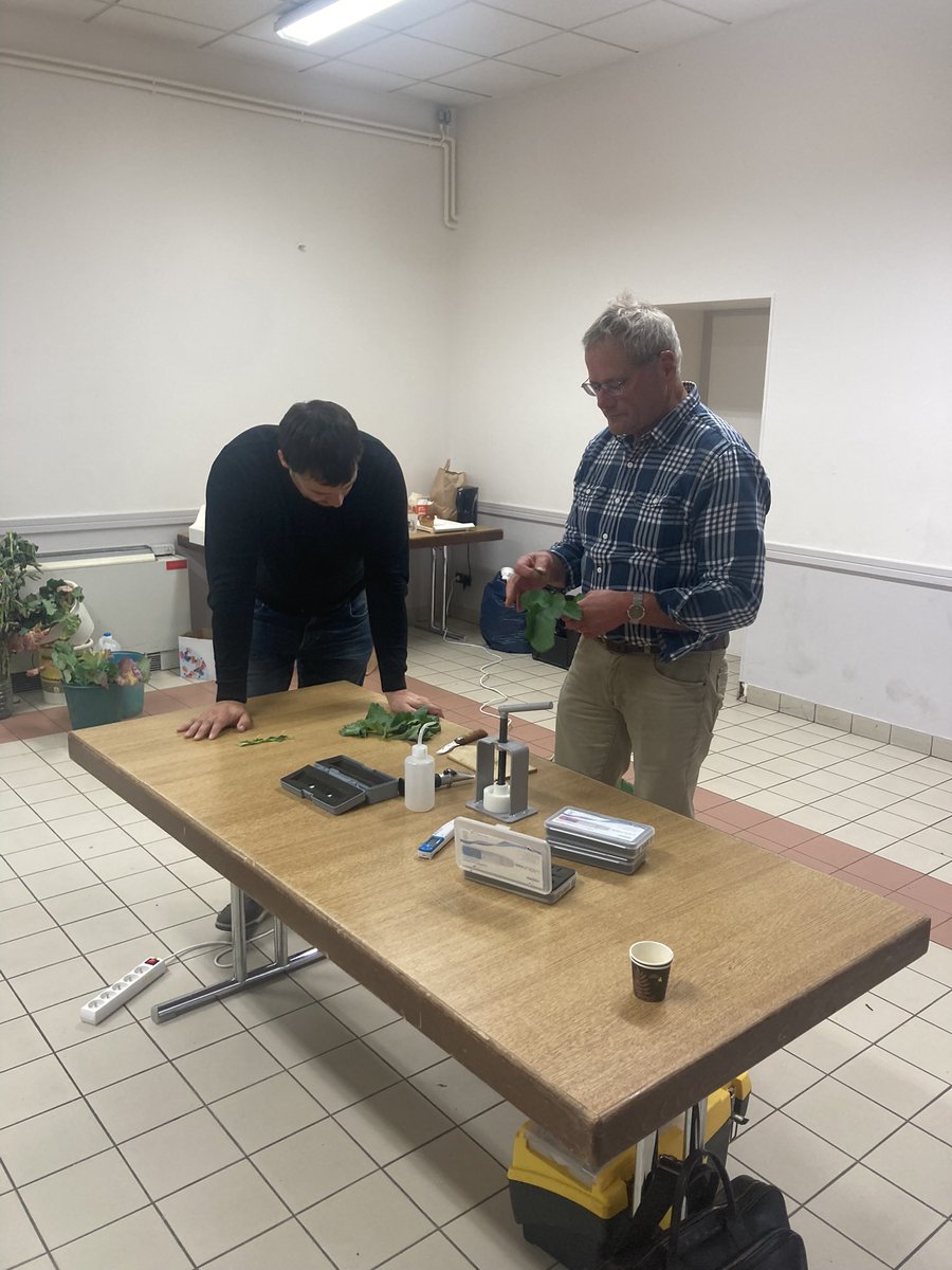 « Le lien entre la santé du sol et la santé de la plante » : 2 jours de formation pour les adhérents de l’ <a href="/ApadNordEst/">APAD Nord Est</a> avec <a href="/Gassler_SAS/">Gässler SAS</a> 🌱👍