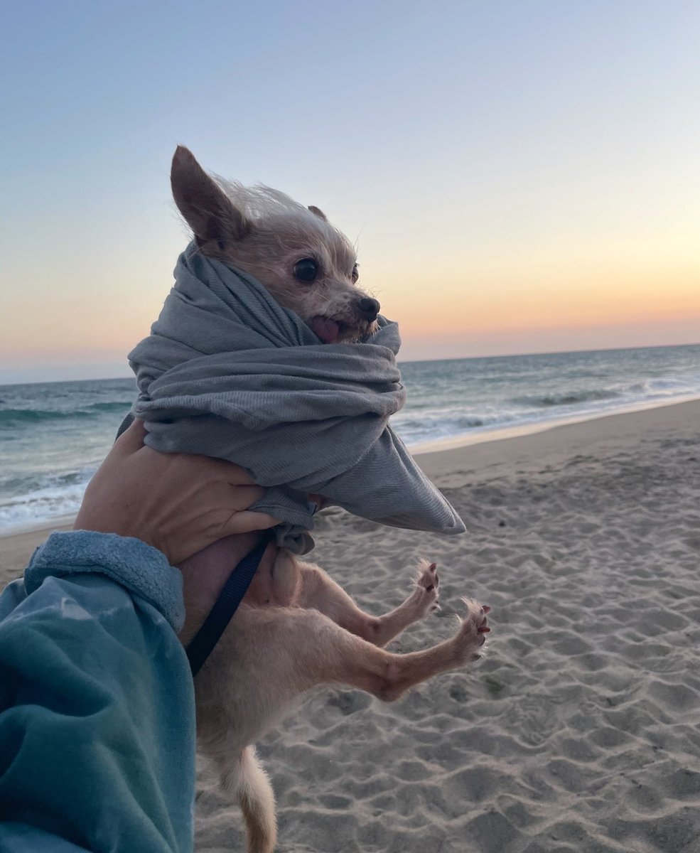 caitiedelaney's tweet photo. I can’t wait for Dune 2 https://t.co/SnzCm0pnSk