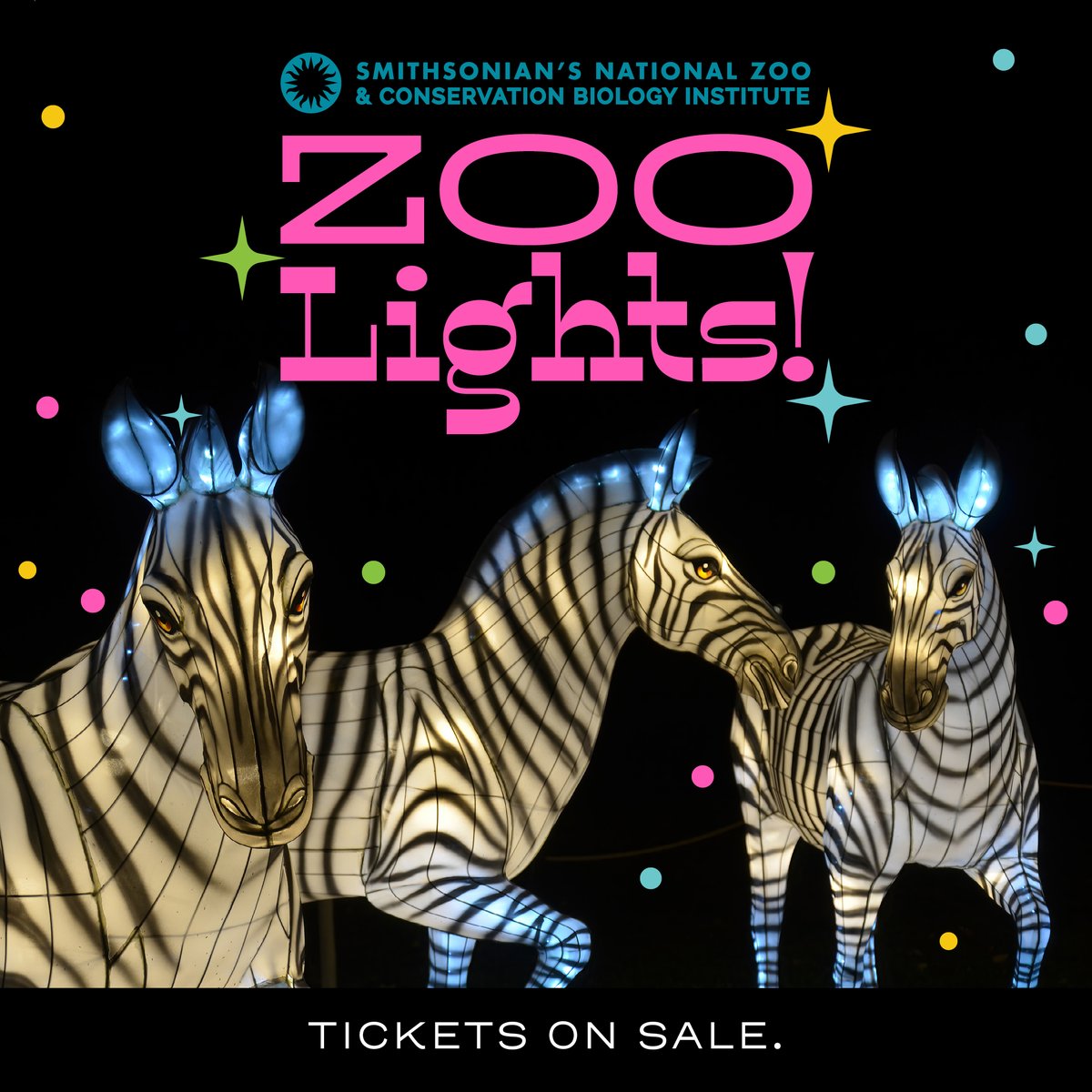 NationalZoo's tweet photo. 🌟🦓 Get ready to light up your holiday season at #DCZooLights, brought to you by @MandT_Bank! Join us for festive fun as the Zoo transforms into a winter wonderland. ZooLights will run select nights Nov. 24-Dec. 30.❄️❤️ $6 tickets on sale now! https://t.co/wo1nxG8hrn https://t.co/gIjHgtBUfU