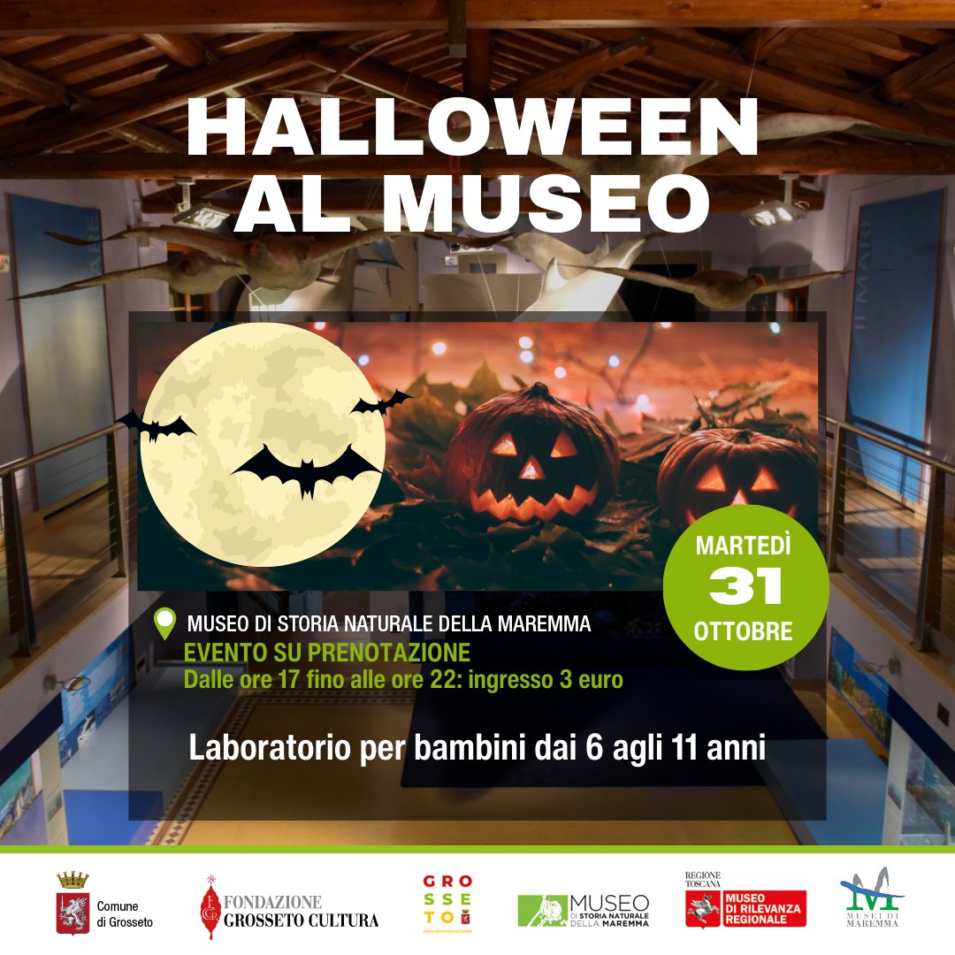🎃Martedì 31 Ottobre, dalle ore 17:00 alle 22:00, presso il #Museo di #storia naturale della #Maremma, in #Grosseto.  

🦇🎃Viviamo la #notte magica di #Halloween alla scoperta dei #Pipistrelli e della #natura! Laboratorio per bambini da 6 agli 11 anni!

museonaturalemaremma.it/eventer/hallow…