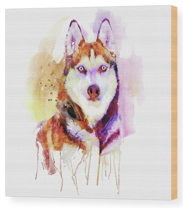 ArtSyndrome75's tweet photo. Bring the beauty of a husky into your home with this stunning watercolor portrait! 🎨🐺 Perfect as a wall art gift for Northern dog lovers, it captures the essence and charm of these majestic creatures. #HuskyLove #WatercolorArt #WallArtGift #NorthernDogs
https://t.co/vVWxDwX4Km https://t.co/WmNXTylX12
