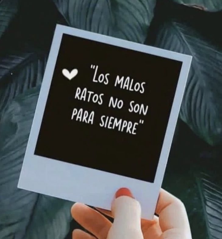 SoloReflexiones's tweet photo. https://t.co/LwMkwP4snQ