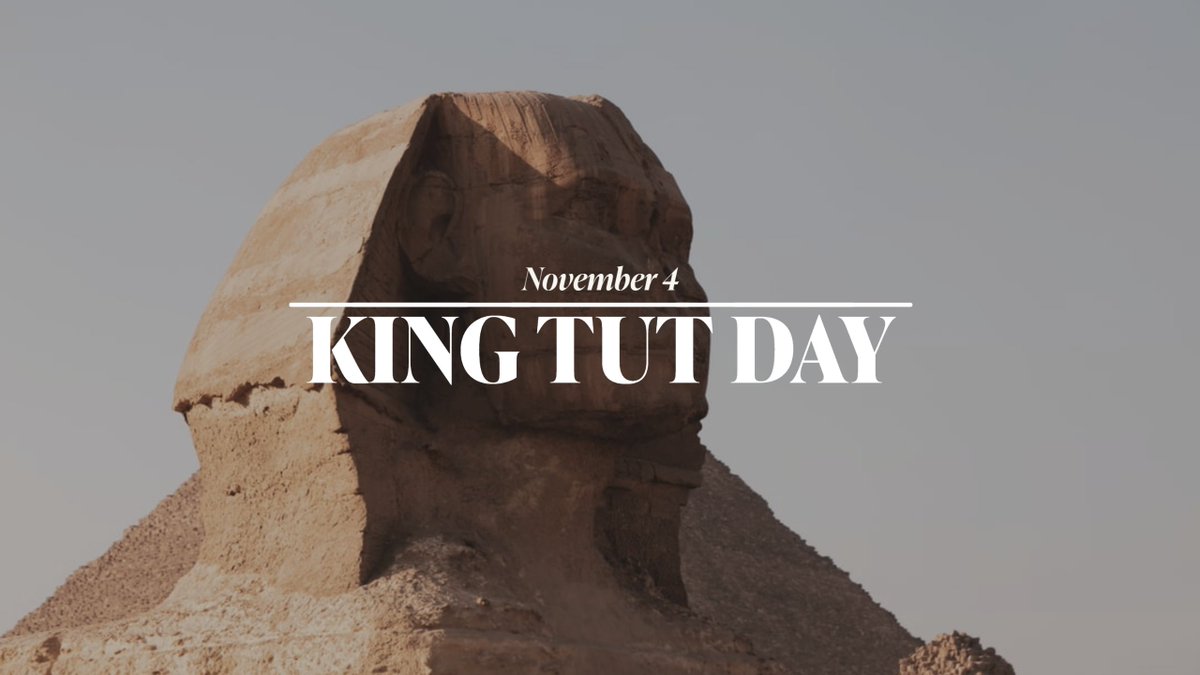 Cindi Rockett tweet media