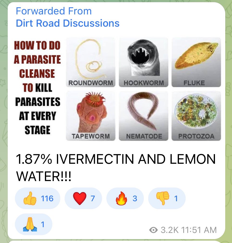 VBDA8's tweet image. Great post!  

How to rid your body of parasites.👇