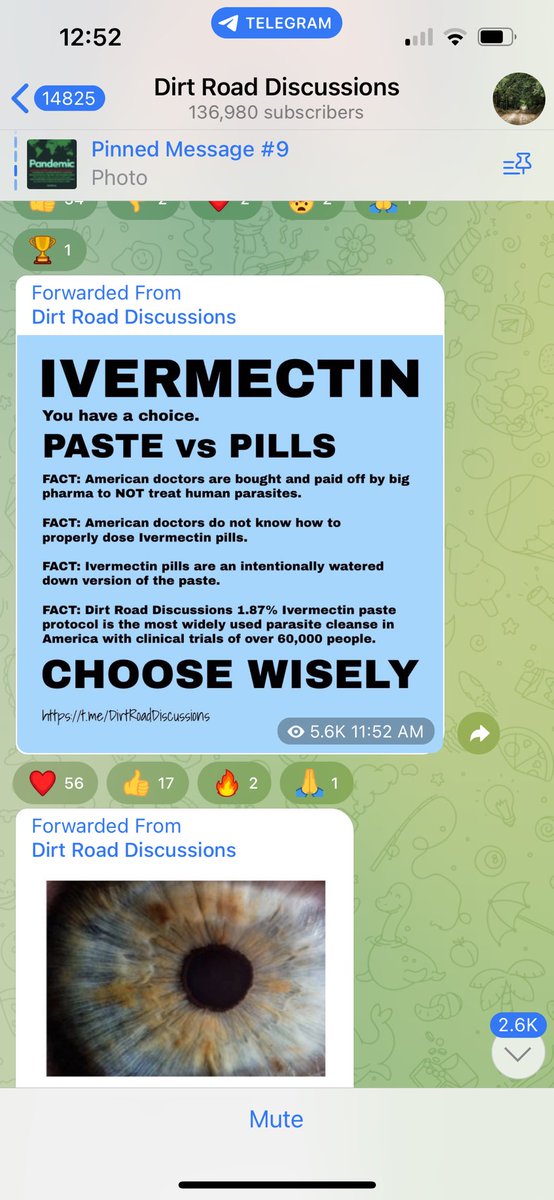 VBDA8's tweet image. Great post!  

How to rid your body of parasites.👇