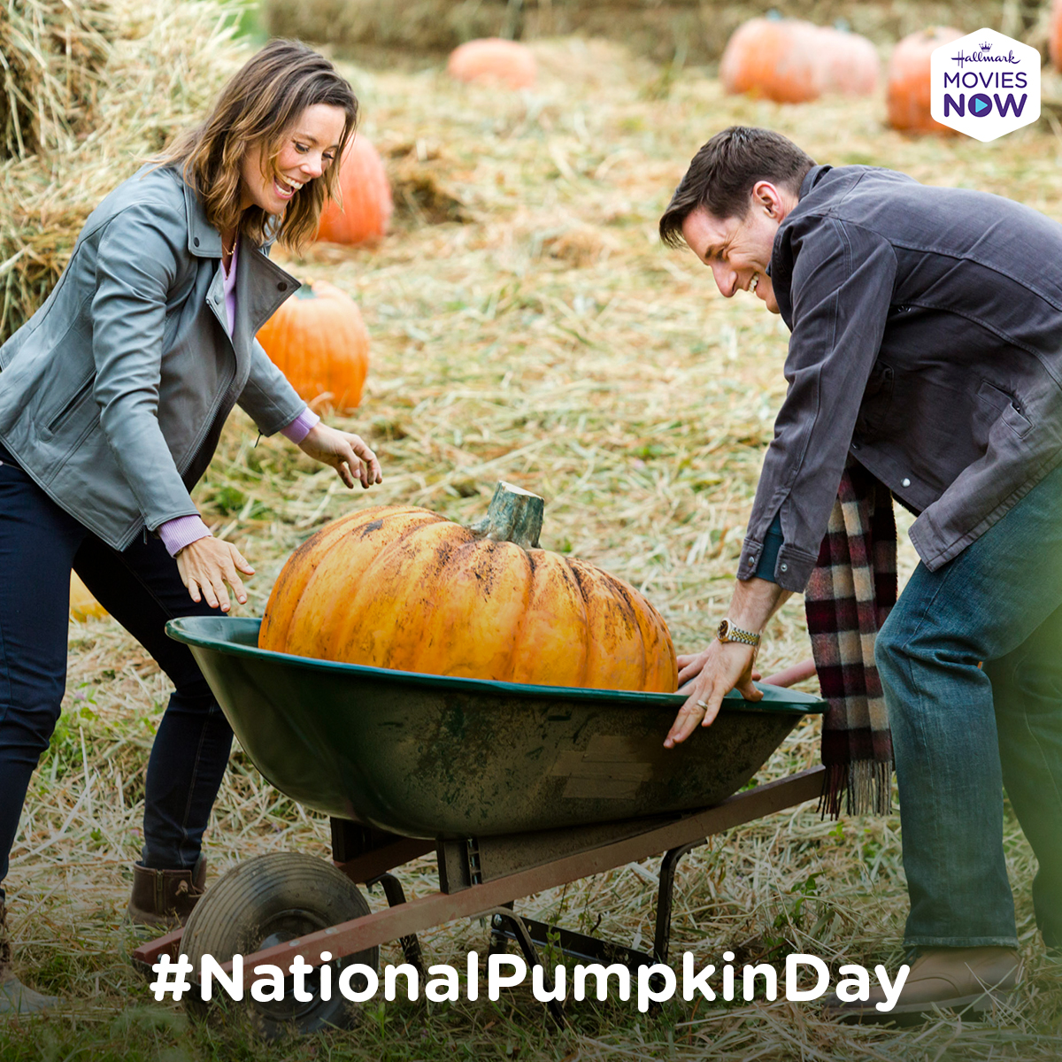 HallmarkPlus's tweet image. Celebrate #NationalPumpkinDay with all things pumpkin! 🎃
Stream #OctoberKiss starring #AshleyWilliams and #SamJaeger now on #HallmarkMoviesNow!
