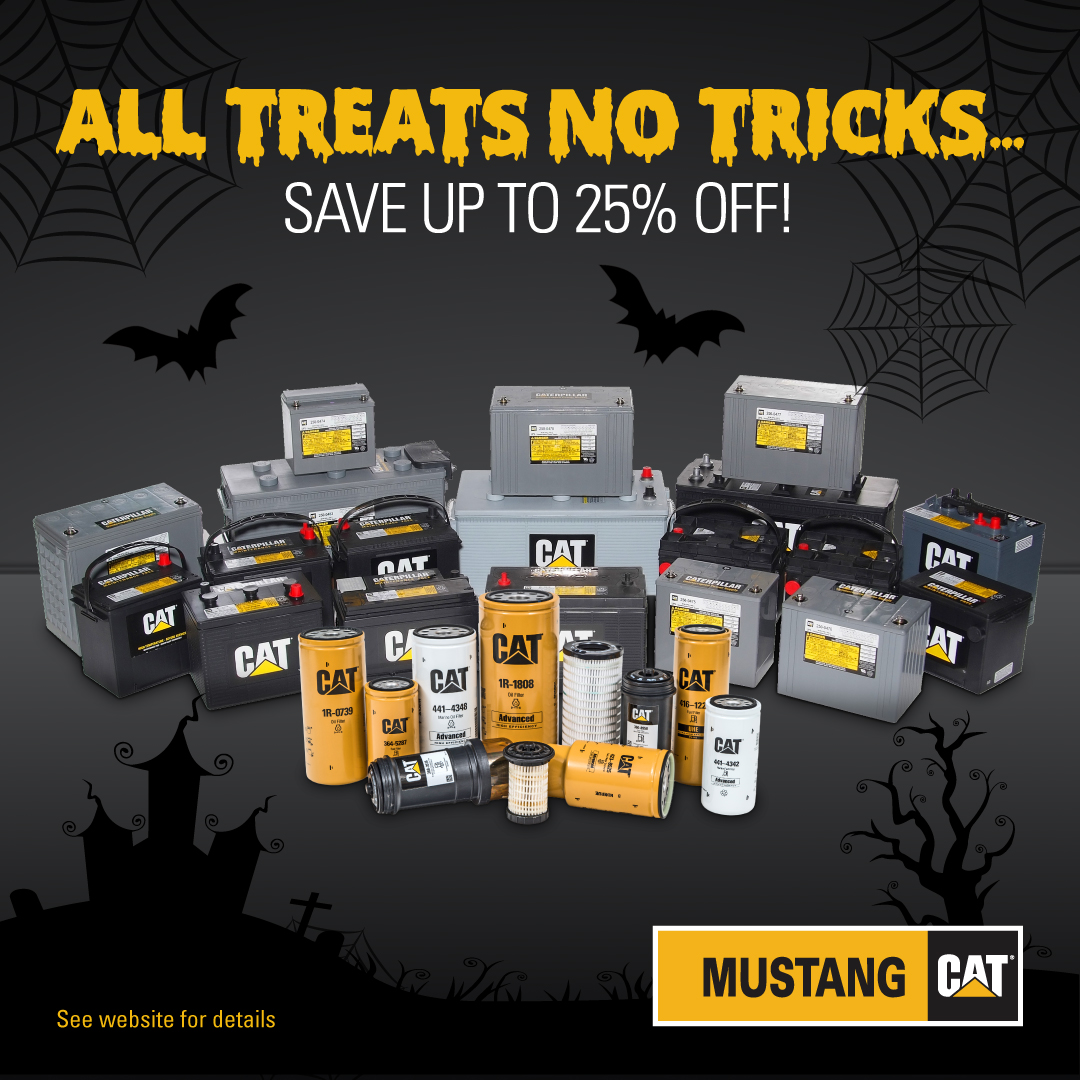 Mustang Cat tweet media