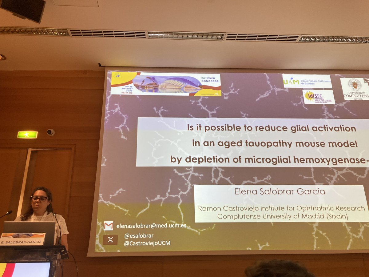 CastroviejoUCM's tweet photo. Primer día del @EVER_connect participando en varios SIS con diferentes comunicaciones de la mano de @esalobrar y @Fdez_Albarral Además nuestra pre-doctoral @Lidiyou ha presentado un Rapid Fire y nuestras profesoras Ana y Rosa han moderado un SIS #Ever2023 #IIORC #congress https://t.co/dMbd3jAxUl