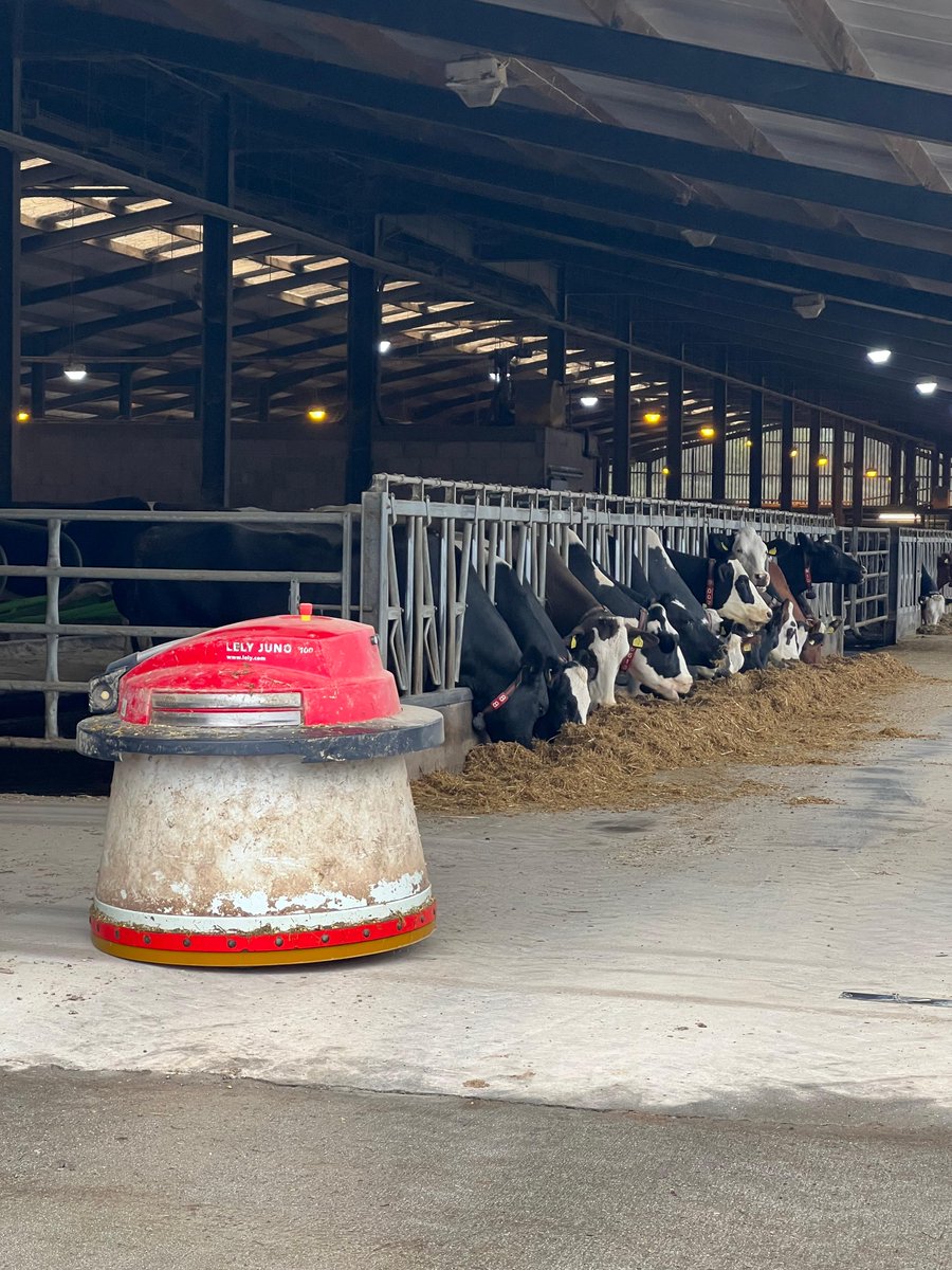 Yesterday, we launched our 2nd strategic dairy farm, Dillington Estate, Somerset. Managed by Ollie Blackburn, it's a mixed enterprise with 310 all-year-round cross-bred cows milking through a robotic system. Explore more farms in our programme 👉 ow.ly/z2xP50Q19fs