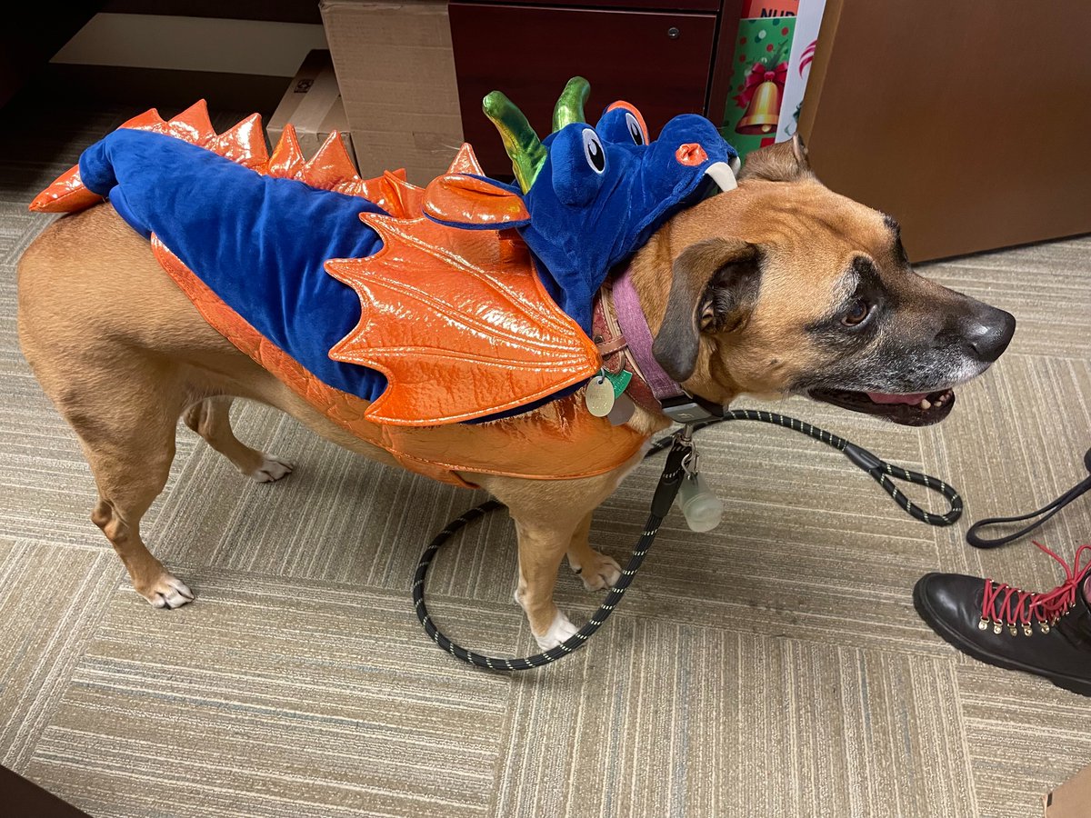 Continuum of Care tweet media