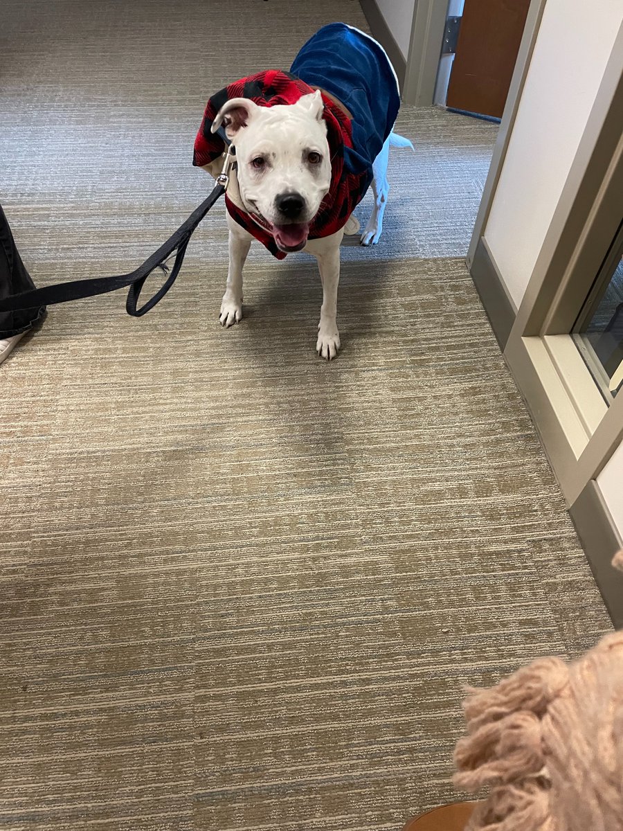 Continuum of Care tweet media