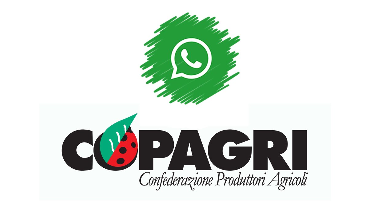 Copagri's tweet photo. La #Copagri da oggi è anche su #WhatsApp!

Segui il canale per rimanere aggiornato su tutte le attività della Confederazione Produttori Agricoli!
👇
https://t.co/PAEyZ3MAR9 https://t.co/jDfoUt0lto
