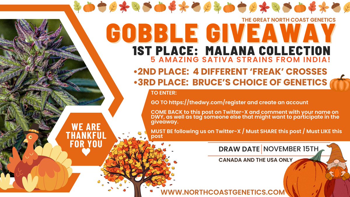 NCG'S GREAT GOBBLE GIVEAWAY! Please carefully read the rules below fam ♥ •GRAND PRIZE: The Malana Collection! 5 beautiful Malana sativa variations from India! This prize alone is worth over $1000. •SECOND PLACE: 4 different 'FREAK' crosses •THIRD PLACE: Bruce's Choice…