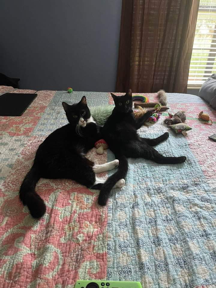 Karen Tabbal (@gholamkaren) on Twitter photo 