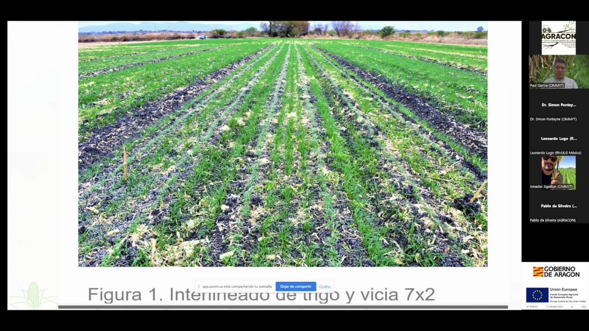 🛫 IV Seminario Suelos Vivos - Conversando con México 🇲🇽
🖥️ ¿No pudiste asistar al evento? Ahora tienes una nueva oportunidad.
🎥 Os dejamos las grabaciones de las ponencias.
📲 youtube.com/playlist?list=…

👇En el hilo os dejamos por separados los links de cada una de las ponencias.