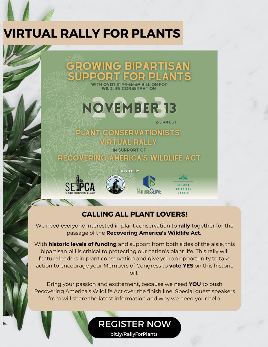 SoutheastPca's tweet photo. That's one small step for a plant, one giant leap for plant conservation. Check out our newsletter and remember to register for the virtual  plant conservationist rally on November 13 at 2 pm! (https://t.co/VOYiA6UCgt) 
https://t.co/LNVhx9zSuW https://t.co/mPOge6vIUv