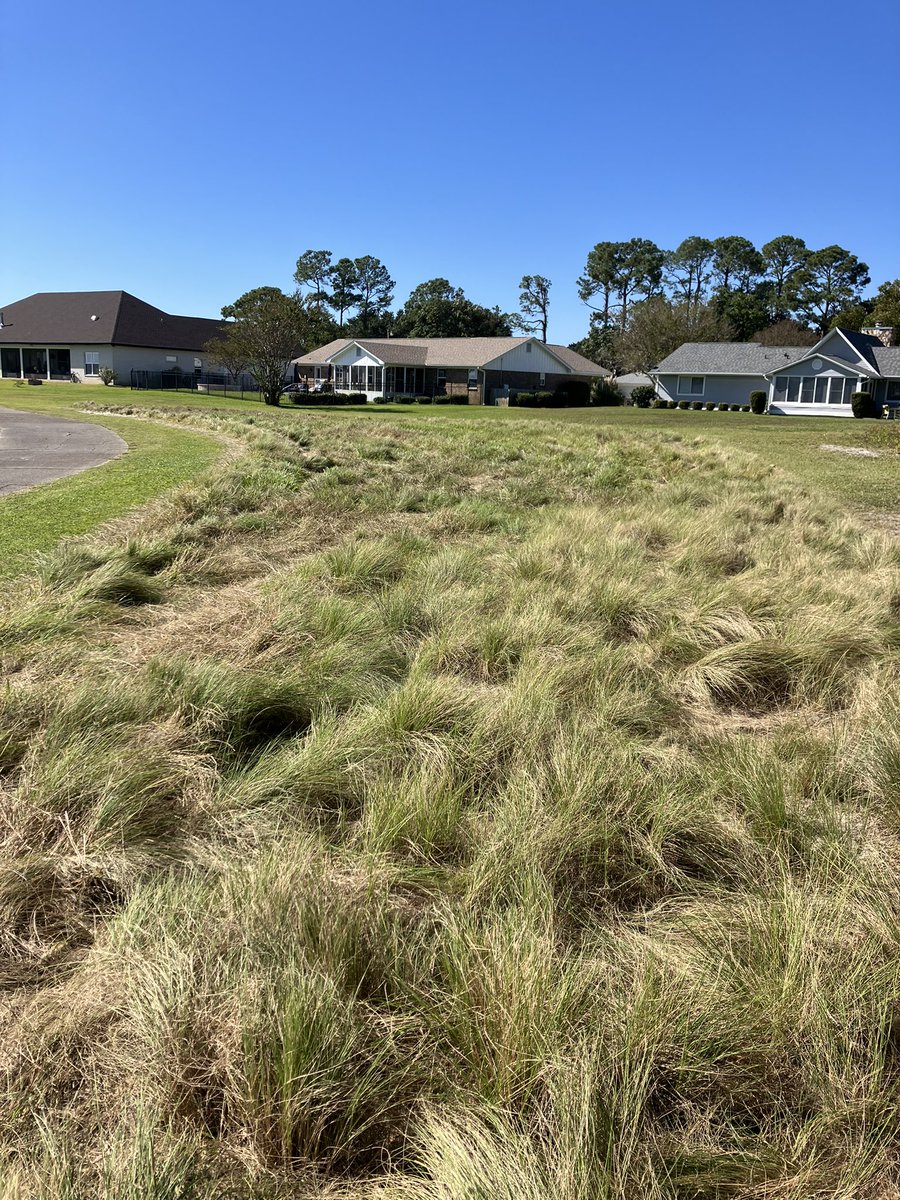 Tiger Point Agronomy tweet media