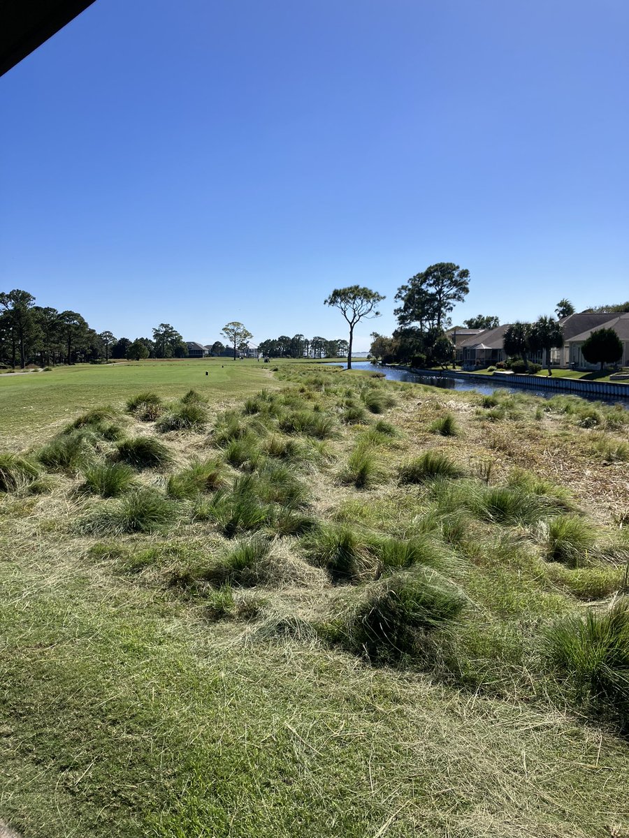 Tiger Point Agronomy tweet media