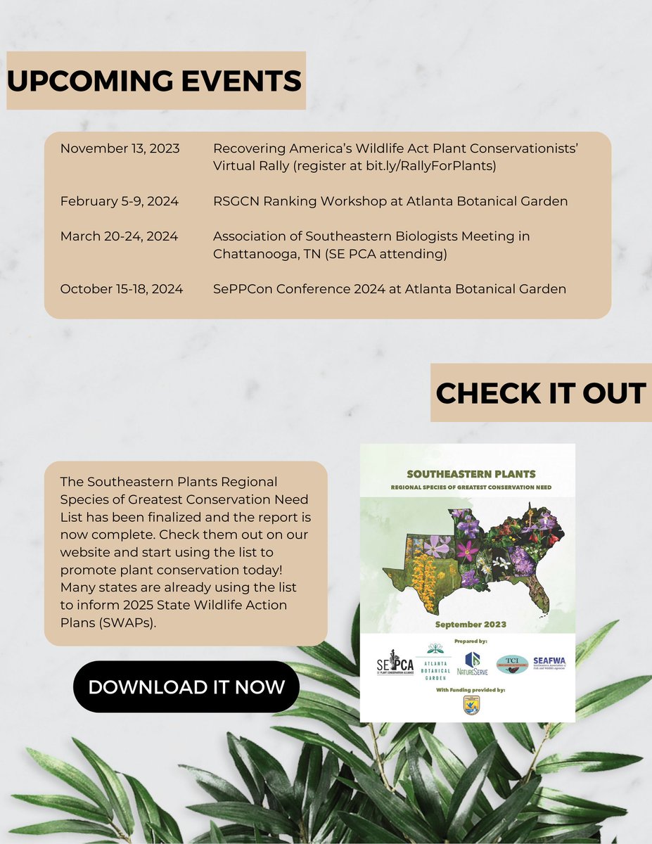 That's one small step for a plant, one giant leap for plant conservation. Check out our newsletter and remember to register for the virtual  plant conservationist rally on November 13 at 2 pm! (bit.ly/RallyForPlants) 
mailchi.mp/7010dd1e0de1/t…