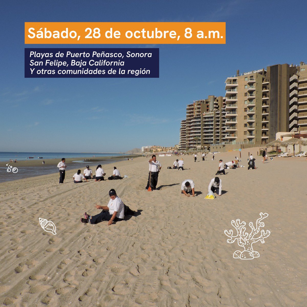 Te invitamos a ser parte de nuestra tradicional #limpiezadeplayas2023 En San Felipe te esperamos en la Plaza de la Conservación en el Malecón a las 8 a.m. @OurOcean @cedo_mex #CEDO #SeaTheChange #PlayasLimpias2023