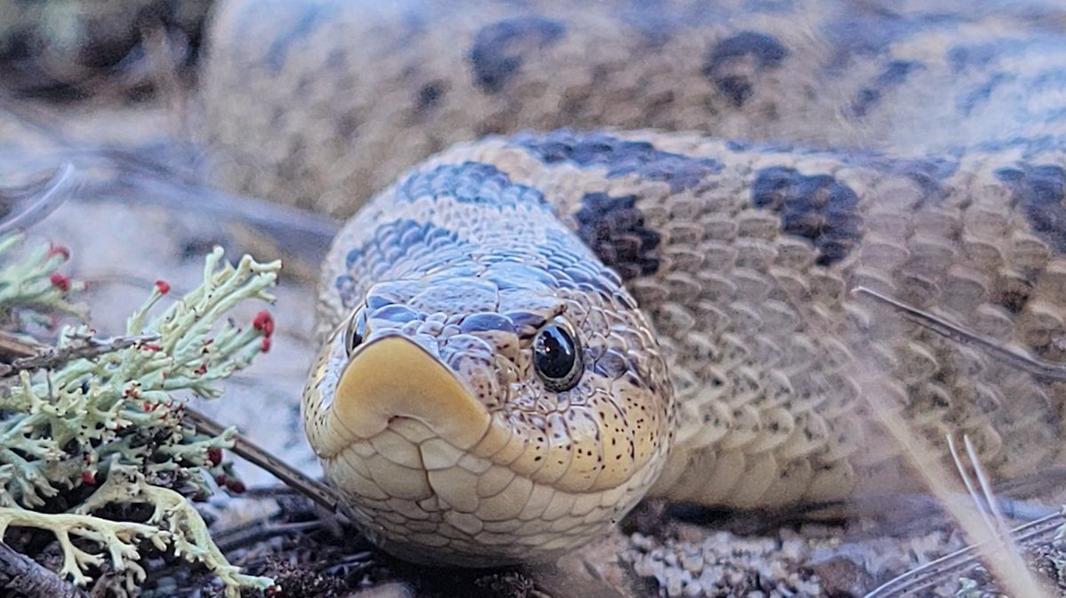 Ben Zino tweet media