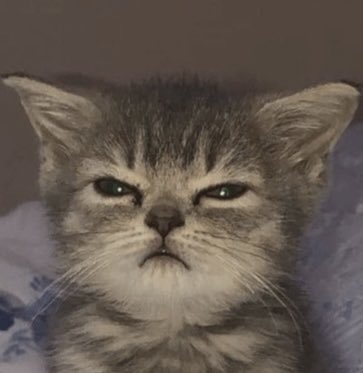 demen casados que ocupo ganar masa muscular https://t.co/fQz3Geut7M<a href="/tag/onlyfan"class="tags"><span>#onlyfan</span></a>