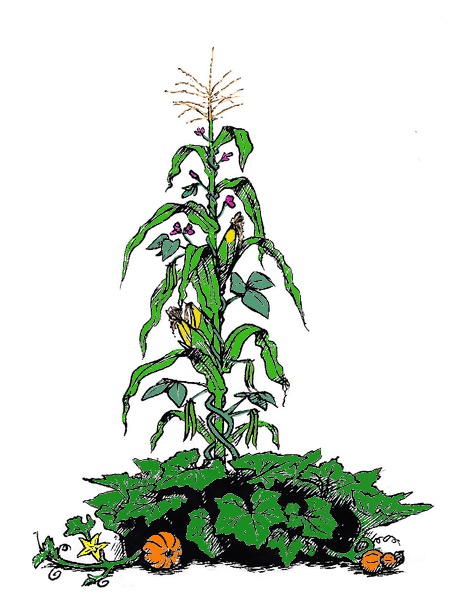 GlenbK1_LDSB's tweet photo. This afternoon, we listened to the legend of The Three Sisters (corn, beans, squash). They teach us how to share, work together, and help each other. #IndigenousWaysOfKnowing https://t.co/G3KWMv0bQX