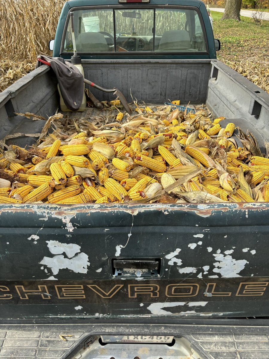 Friendly reminder to verify the stone trap is SHUT