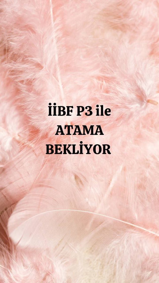 PlaformIIBF's tweet photo. @AliYerlikaya İktisadi ve İdari Bilimler Fakültesi mezunları gih kadrolarında en iyi şekilde görev yapacak donanıma sahip olarak mezun olmaktadır. https://t.co/950QDIUR3I