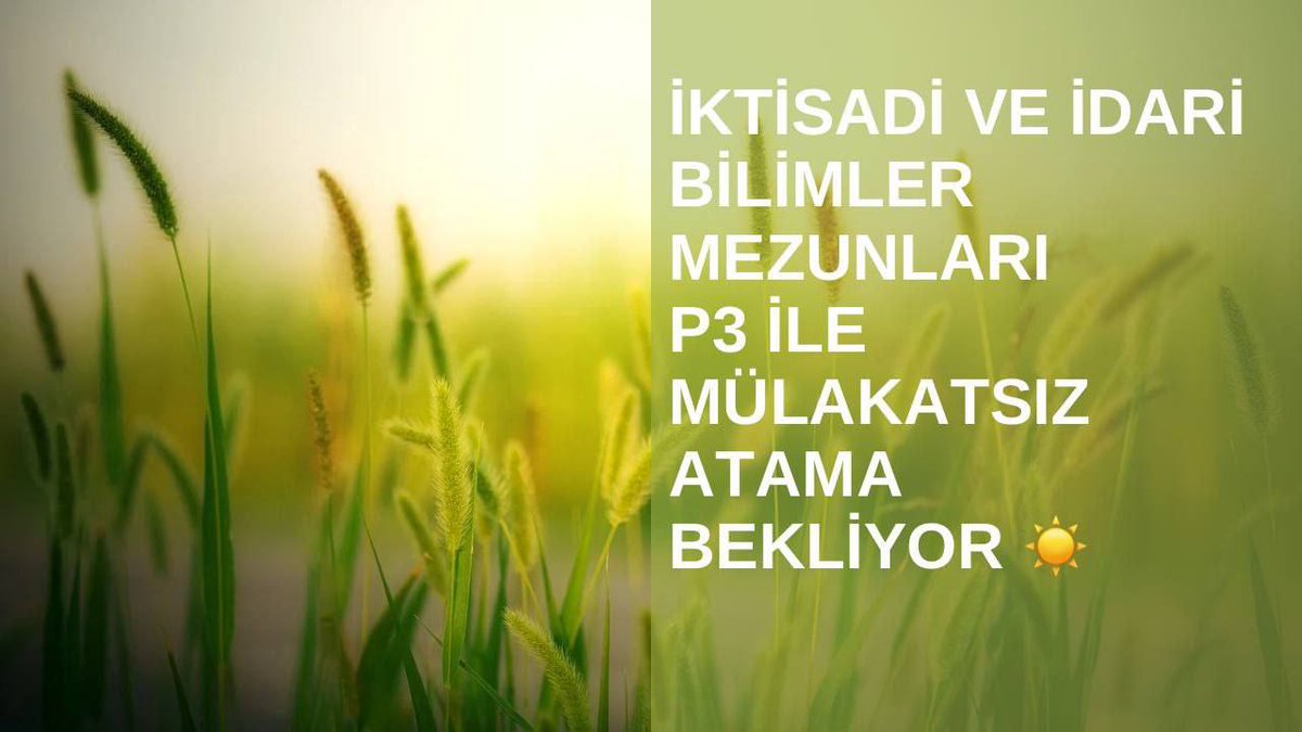 PlaformIIBF's tweet photo. @AliYerlikaya Kurumunuz tarafından açılacak olan “Büro Personeli” kadroları için nitelikli eğitim almış, bu idari kadrolar için 4421, 4427, 4429, 4431, 4459, 4503, 4507, 4465, 4478, 4484 kodlu İİBF LİSANS bölümlerinden alıp yapmanızı talep ediyoruz. https://t.co/qFN4PCc7gr