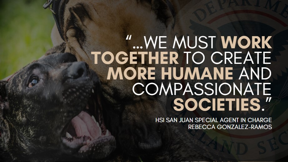 Puerto Rico man sentenced to 7 years for dog fighting violations of Animal Welfare Act after @HSISanJuan probe ▶xsm.link/22ihrv