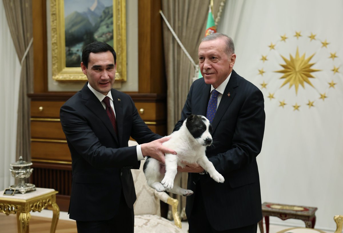 sputnik_TR's tweet photo. Cumhurbaşkanı Erdoğan ve Türkmenistan Devlet Başkanı Berdimuhamedov birbirlerine köpek hediye etti https://t.co/VRSEYhx22r https://t.co/spsk1c4IFU