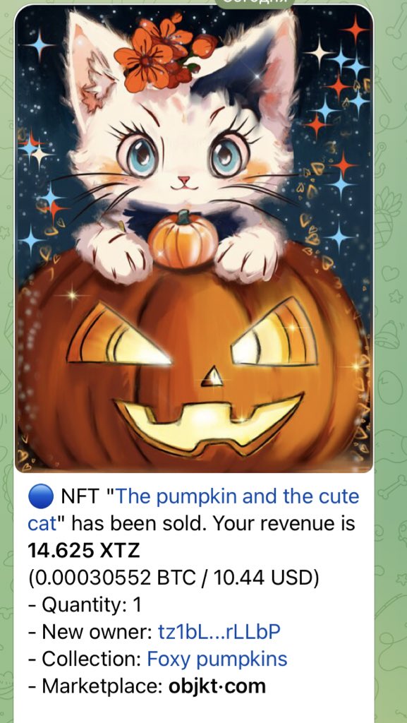OMG😻😻😻🎉🎉🎉
SOLD🎃🔥🎃
Thank you so much my dear @therealdonjibo for your support❤️❤️❤️❤️
your gift, very beautiful new art, I will send it to you on Monday❤️‍🔥❤️‍🔥❤️‍🔥 

thank you from the bottom of my heart for not forgetting me😻