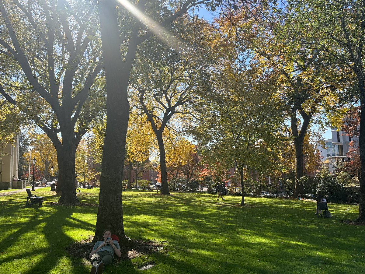 Dr. Maya Kornberg (@kornbergmaya) on Twitter photo Picturesque day at <a href="/BrownUniversity/">Brown University</a> for the first day of <a href="/W_inLS/">Women in Legislative Studies</a> conference ☀️ Excited to learn from a group of brilliant women in the field over the next few days. Picturesque day at <a href="/BrownUniversity/">Brown University</a> for the first day of <a href="/W_inLS/">Women in Legislative Studies</a> conference ☀️ Excited to learn from a group of brilliant women in the field over the next few days.
