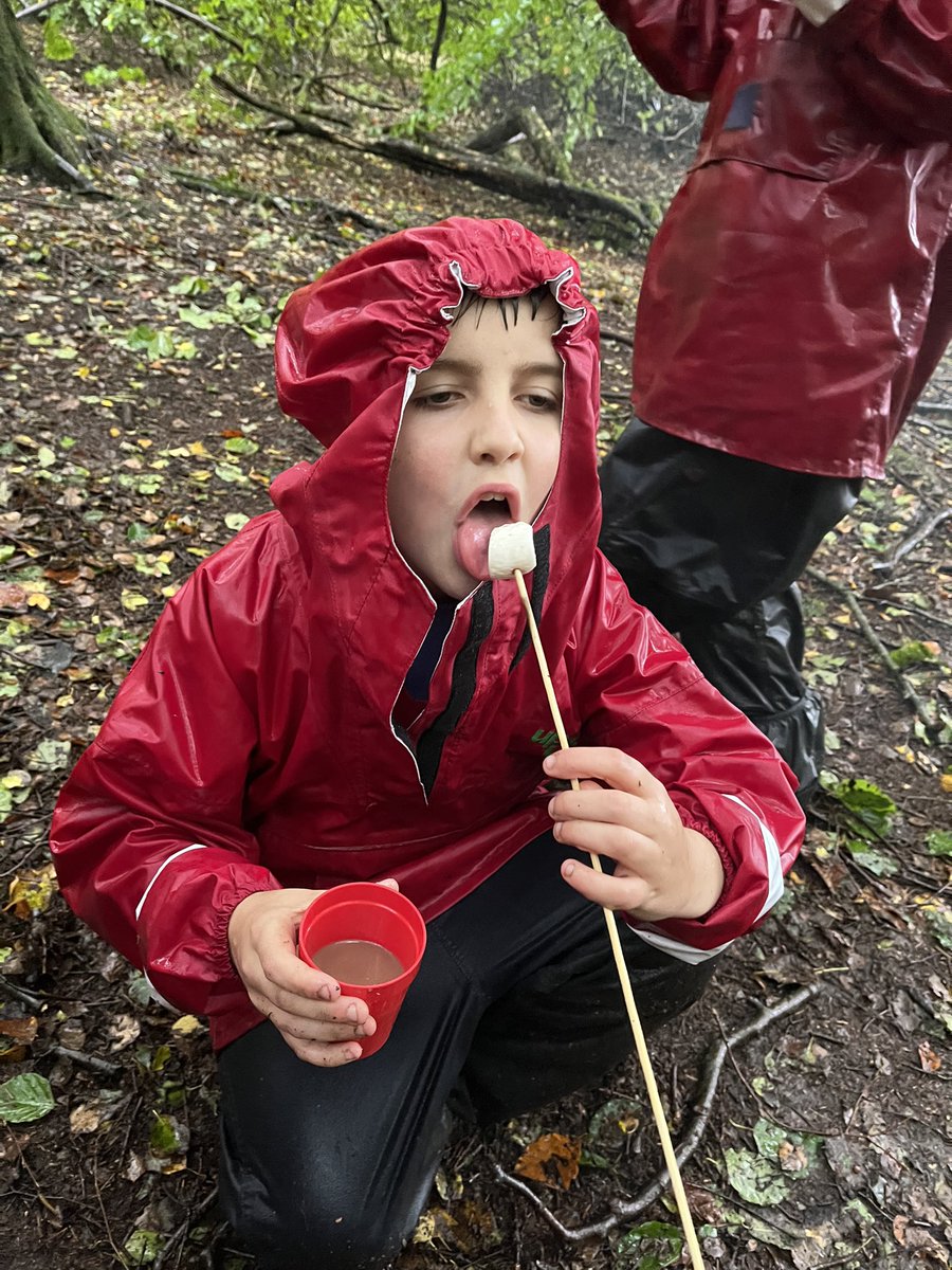 KMSMrsAspery (@kmsclass8) on Twitter photo 